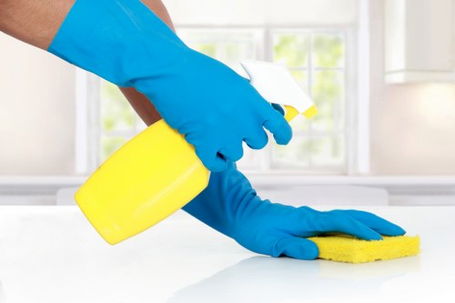 Professional steam carpet cleaning in Rush Green living room