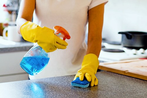 Cleaning products and tools prepared for a carpet service appointment