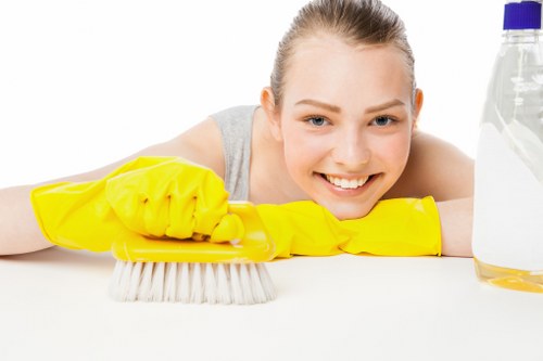 Technician demonstrating professional carpet cleaning training