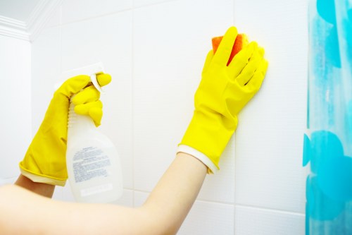 Steam cleaning process for carpets in Rush Green